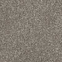 Phenix Lush SureSoftSD™ Carpet | Phenix Lush