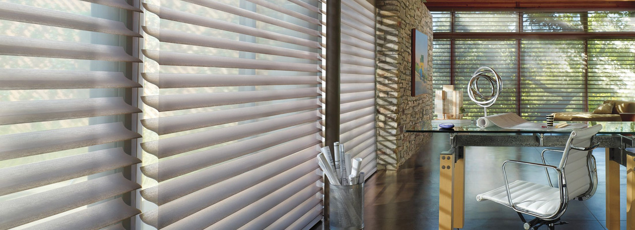 Hunter Douglas Remembrance Roller Shade with Toile Collection Fabric 