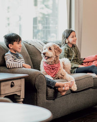 Living Room Furniture That Fits Your Lifestyle: How to Choose Pieces for the Way You Really Live