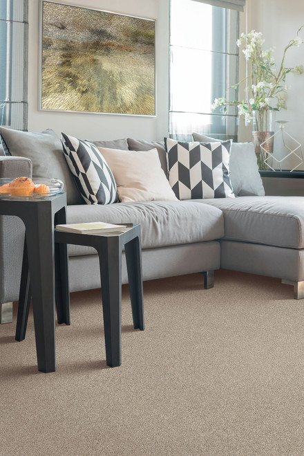 Karastan Cordial Memory Premium Nylon Carpet