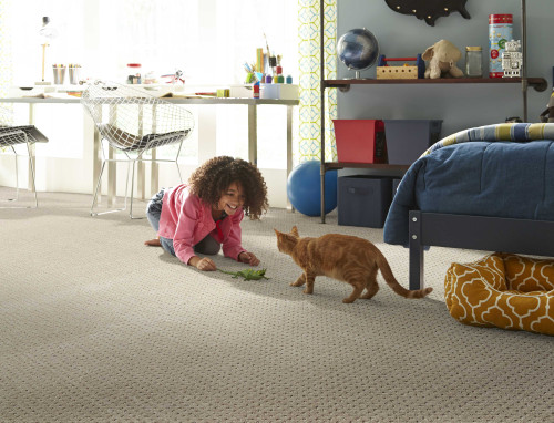 Phenix Deja Vu PetProtect® Carpet Flooring Mannington- Phenix
