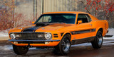 1970 Ford Mustang Mach 1 Twister Special