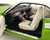 Acme Retro Hobby Exclusive 1:18 Scale 1971 Dodge Challenger R/T (Green) A1806020RH