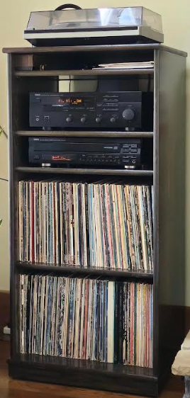 Narrow Stereo Cabinet 50"H  shown in  Ebony with gray glass doors.
https://www.decibeldesigns.com  telephone 805.331.8506 