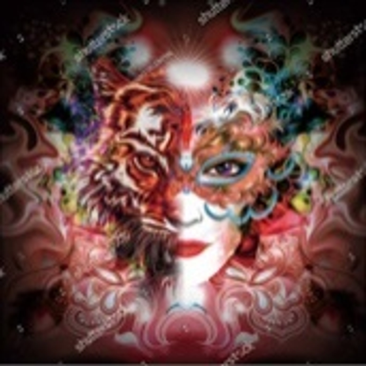 Diamond Art Collection Mystic Lady Full Drill Fd012 Canvas