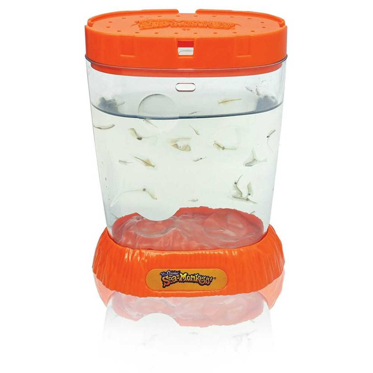 Sea-Monkeys Ocean Zoo