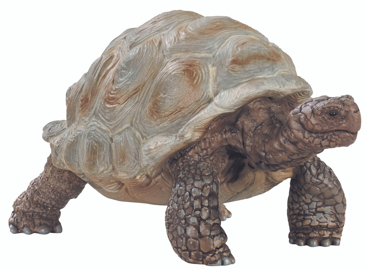 Schleich Giant tortoise