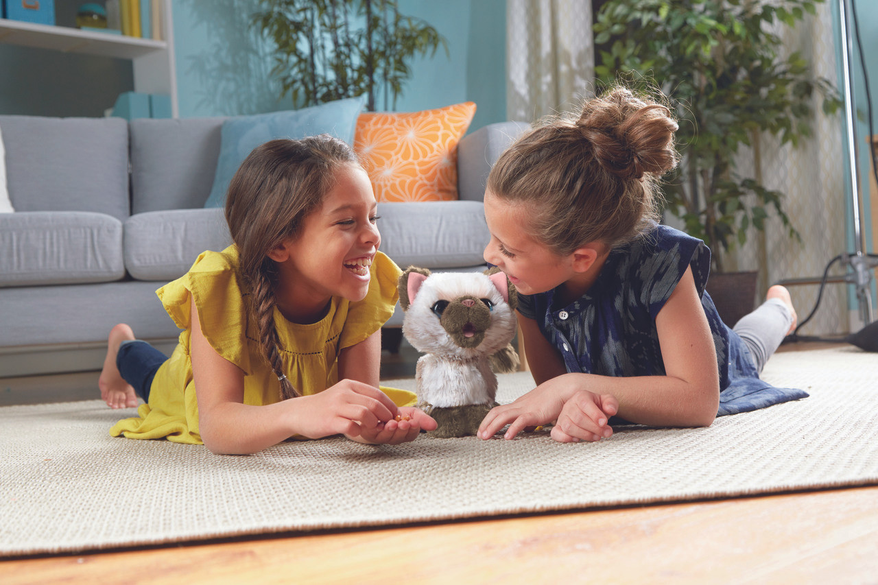 kami my poopin kitty