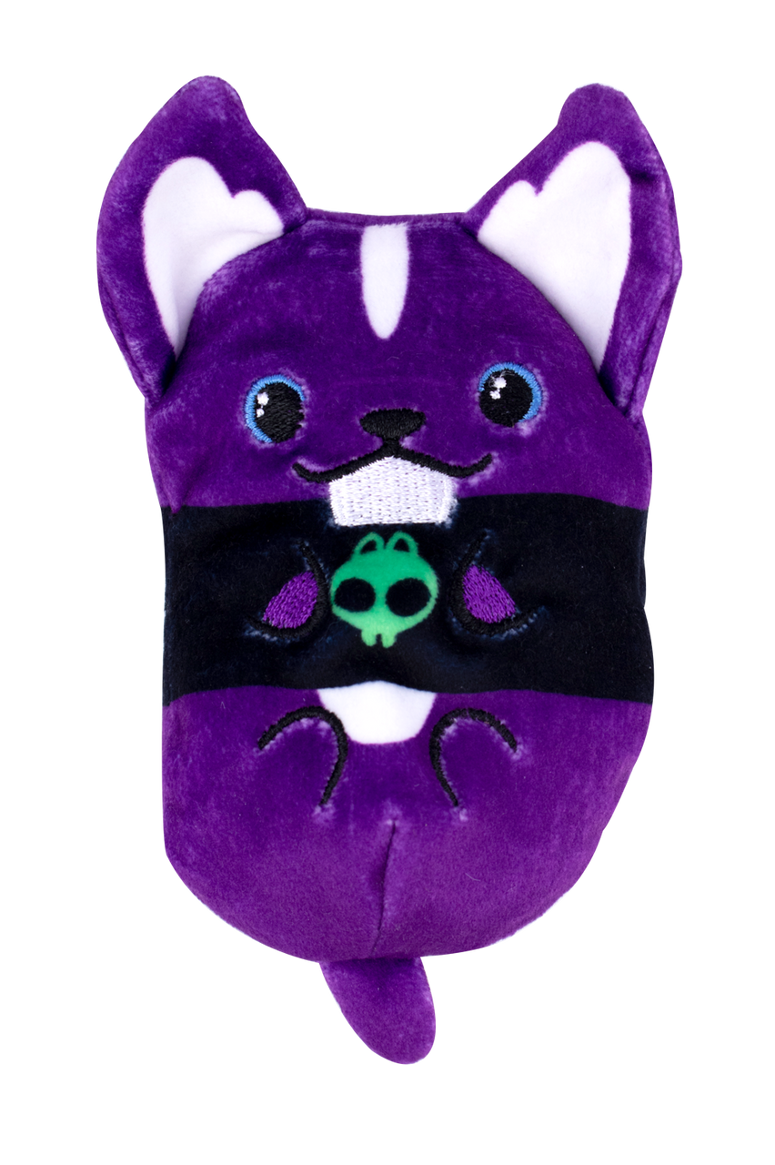 Dogs Vs Squirls Beans Dogs Vs Squirls Beans