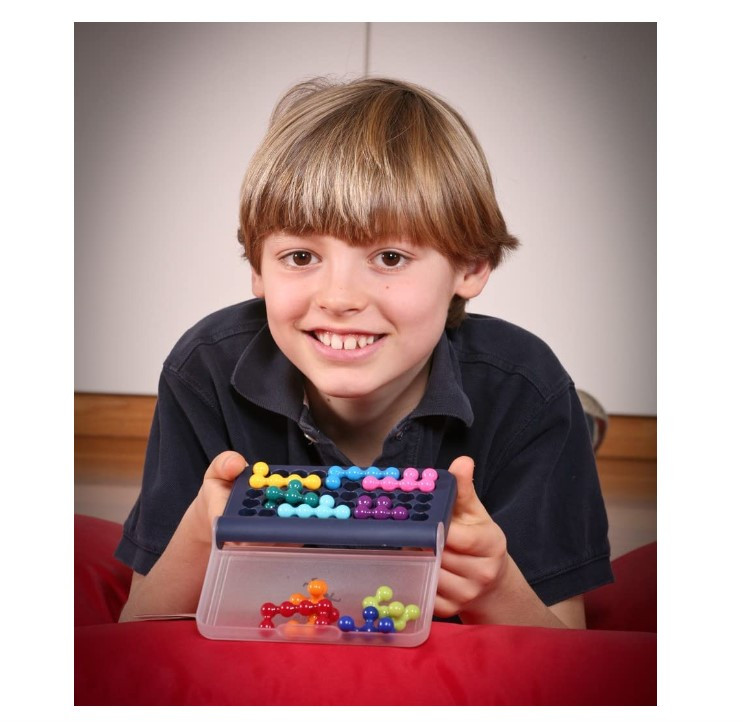 Smart Games SG 423 IQ Fit