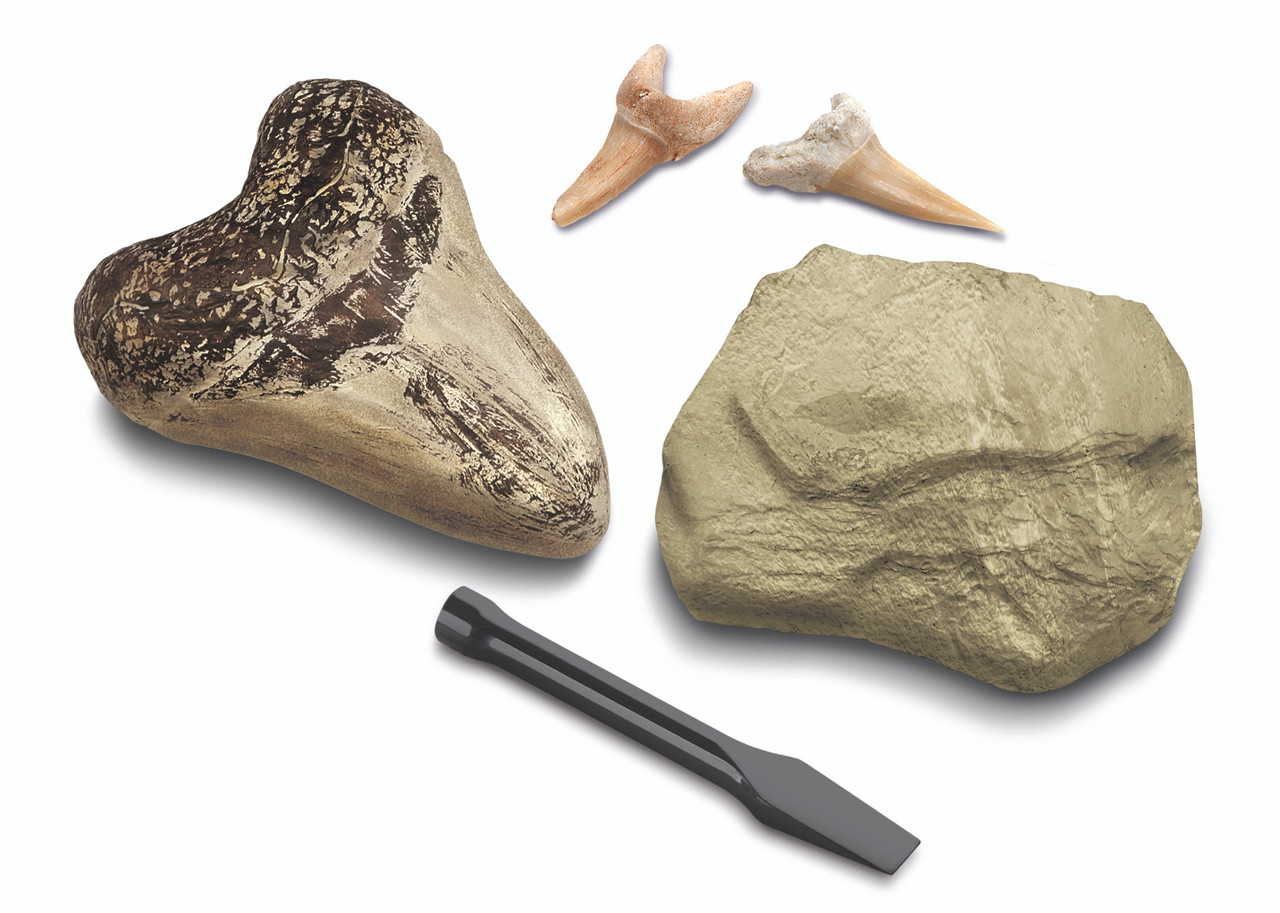 Discovery #Mindblown Mini Fossil Shark Teeth Dig Set 2 Pack Discovery #Mindblown Mini Fossil Shark Teeth Dig Set 2 Pack