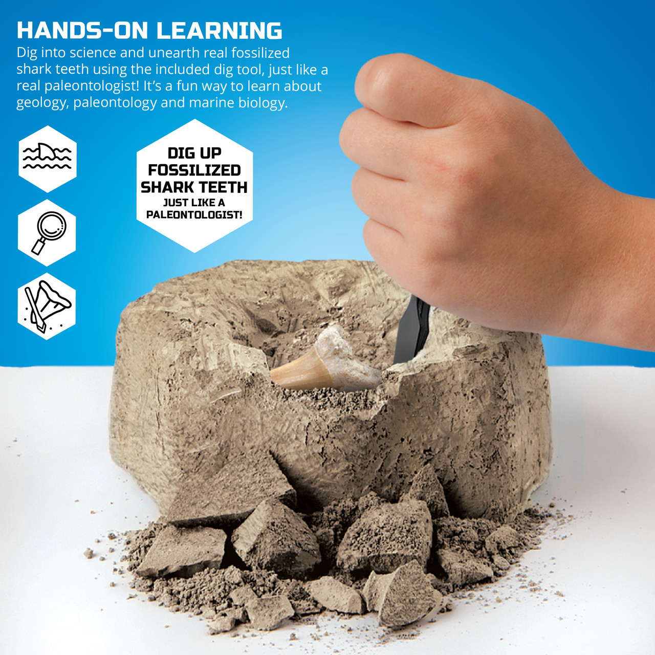 Discovery #Mindblown Mini Fossil Shark Teeth Dig Set 2 Pack Discovery #Mindblown Mini Fossil Shark Teeth Dig Set 2 Pack