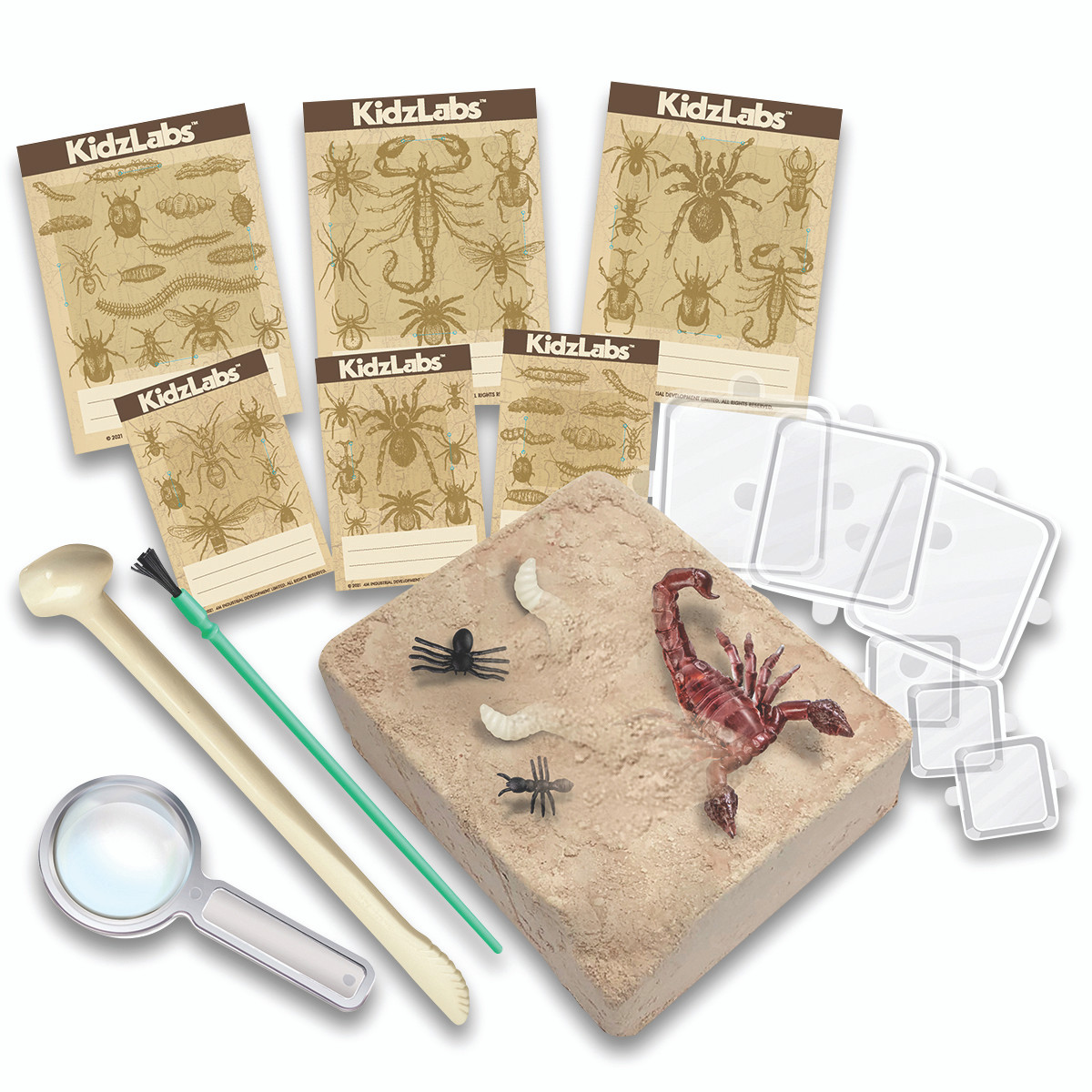 4M KidzLabs Creepy Crawly Digging Kit