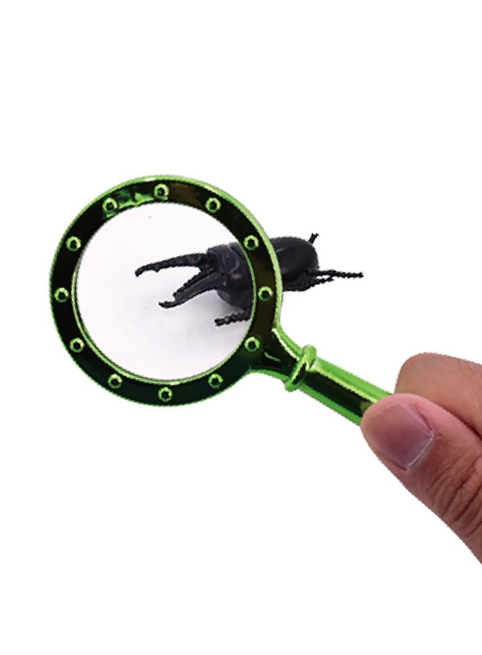 Mini Magnifier