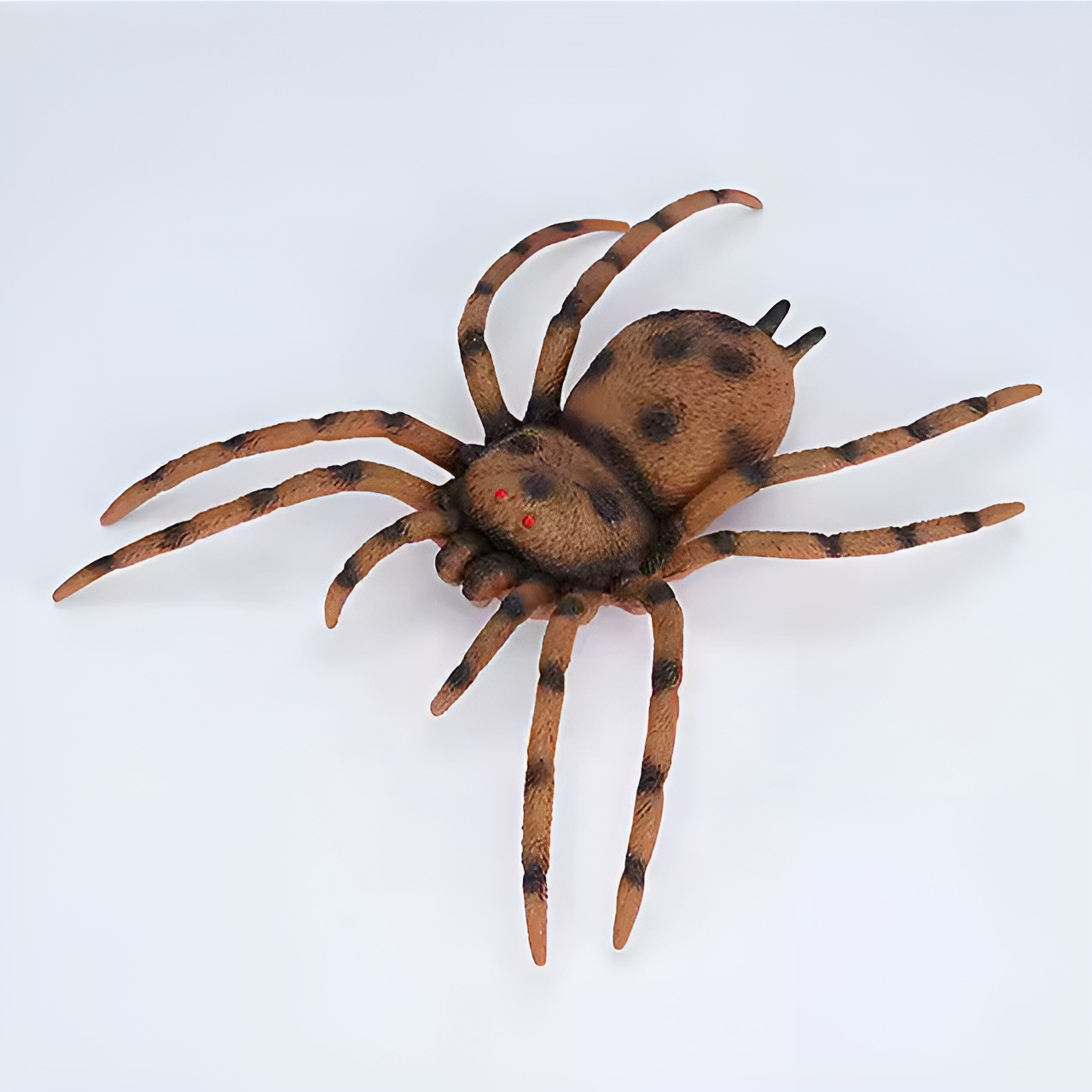 8-Inch Spider