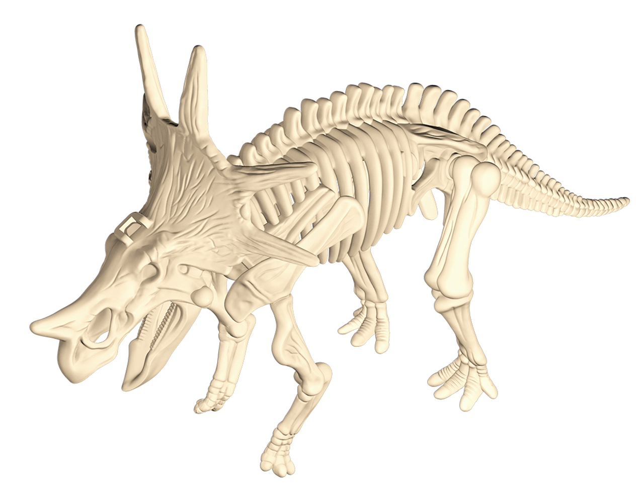 T-Rex Dinosaur Fossil T-Rex Dinosaur Fossil