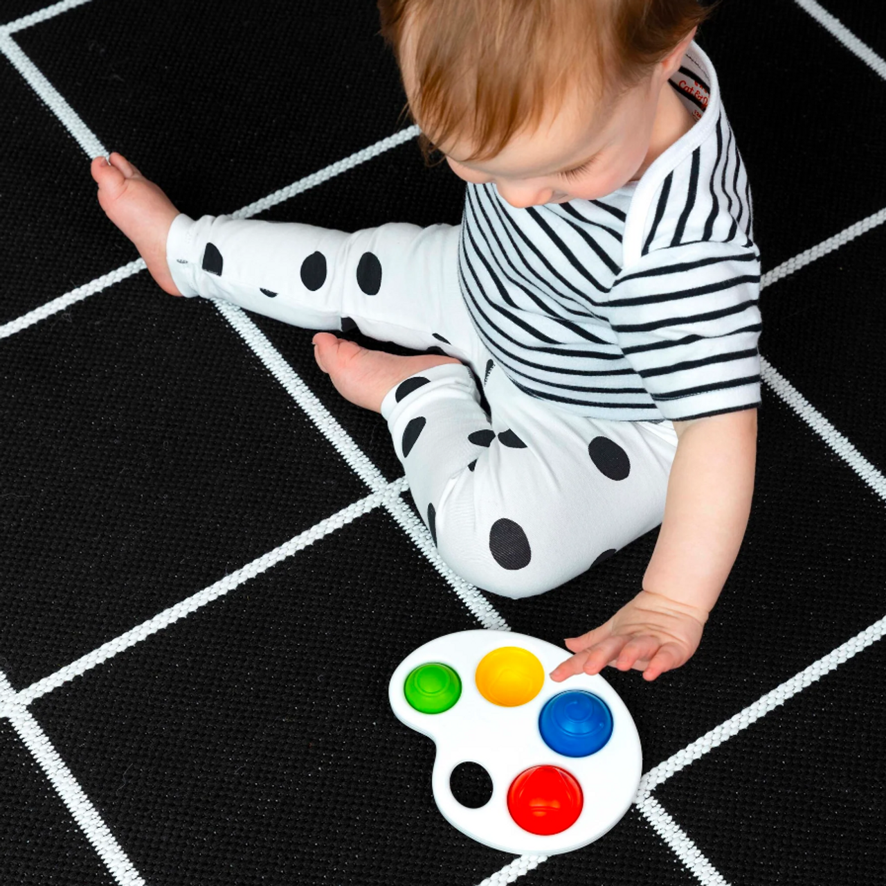 Baby Einstein Colour Pop Palette Sensory Toy Baby Einstein Colour Pop Palette Sensory Toy