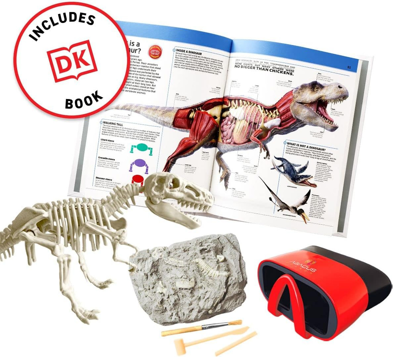 Abacus Virtual Reality Dinosaurs