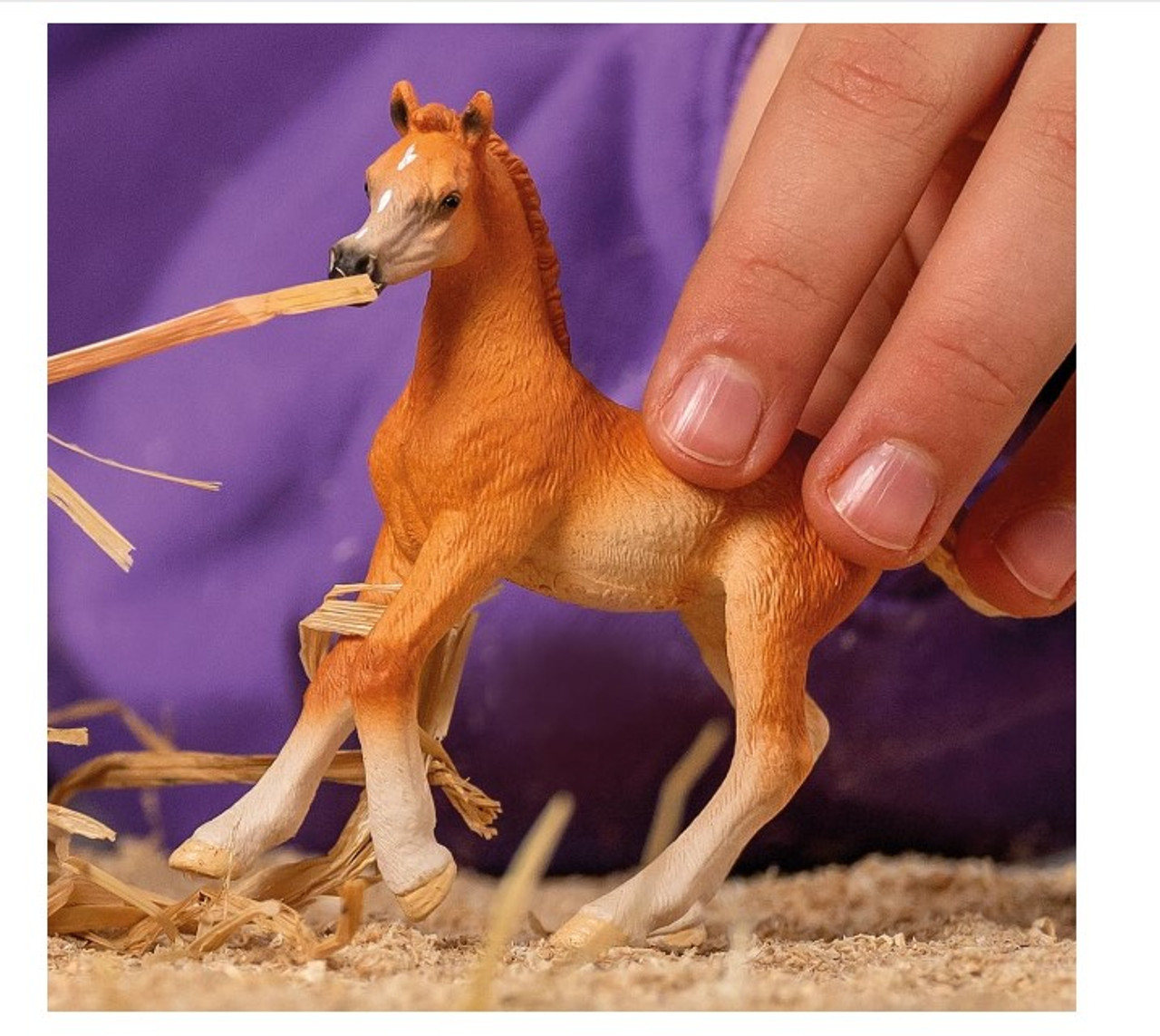 Schleich - Arabian Foal