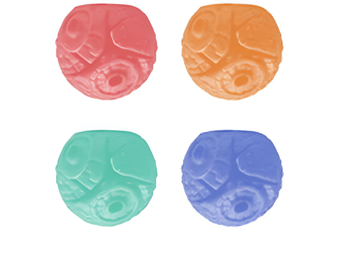 Sqwee Zoh Pop Out Ball - Dino Sqwee Zoh Pop Out Ball - Dino