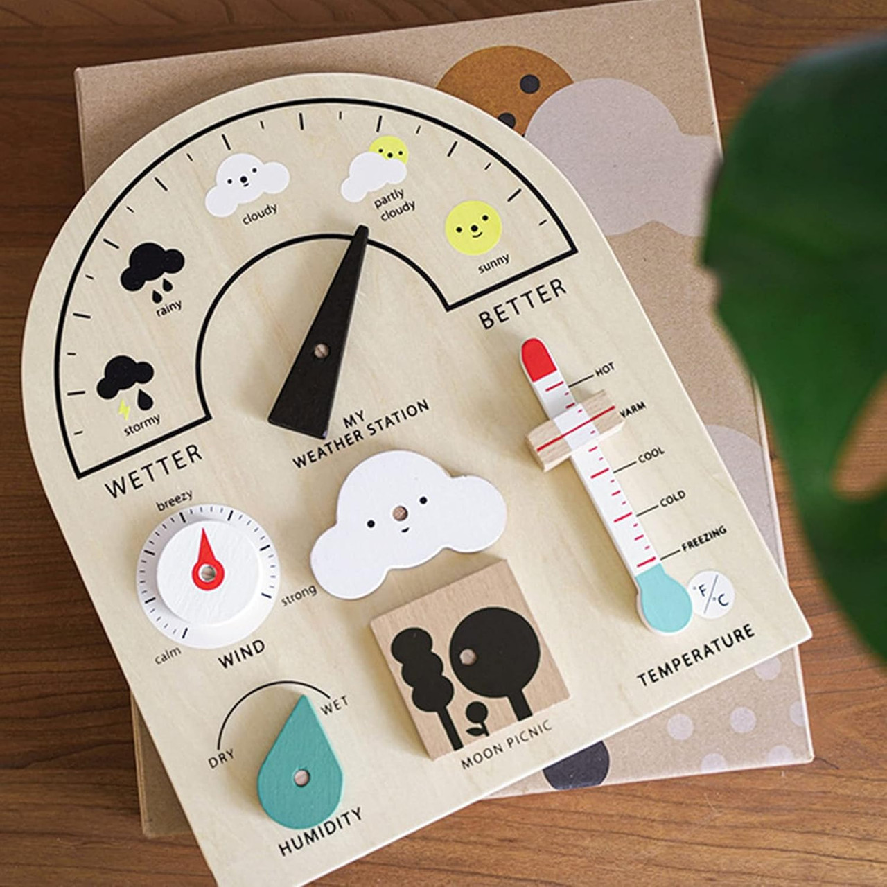 Wooden Play Weather Station