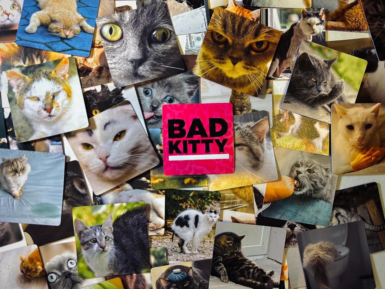 Bad Kitty Party Game