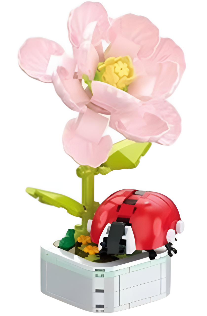 Flower Love Flower and Insect Flower Love Flower and Insect