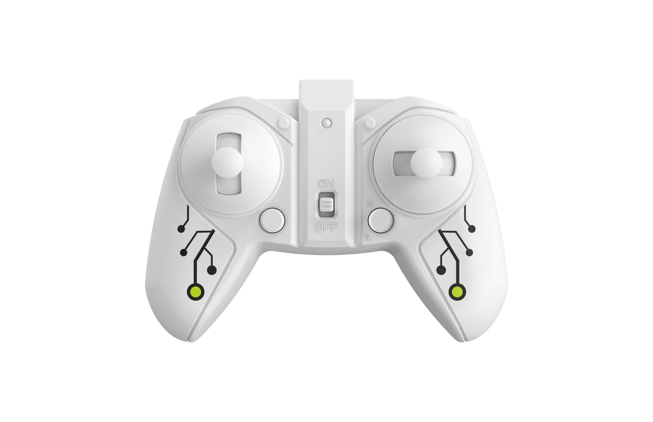 Wild-RC Remote Control Chameleon  Wild-RC Remote Control Chameleon