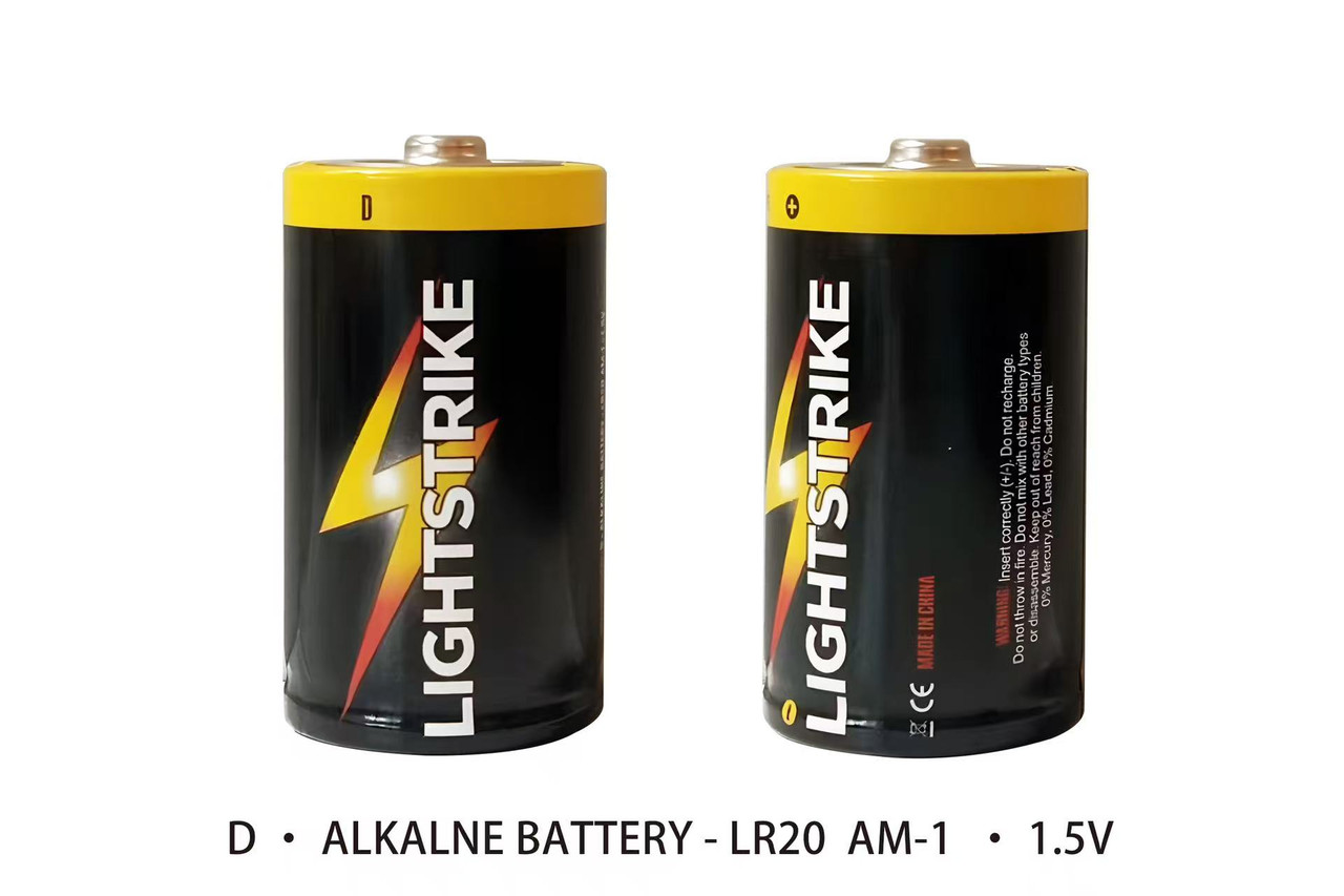 D Alkaline Batteries 2 Pack