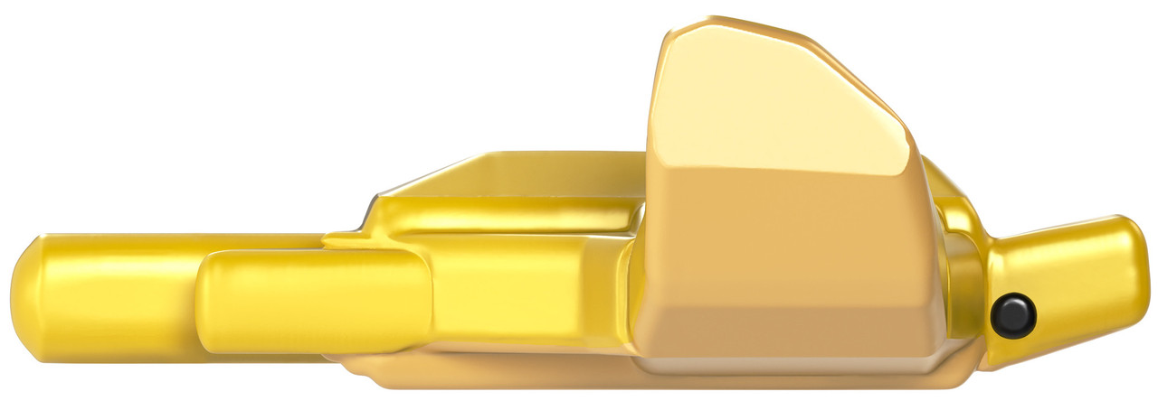 Fisch - Captain's Goldfish Bundle