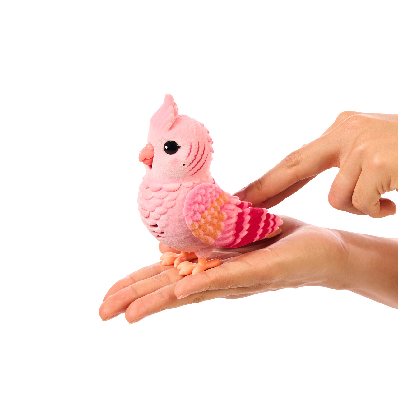 Little Live Pets My Really Real Bird & Cage