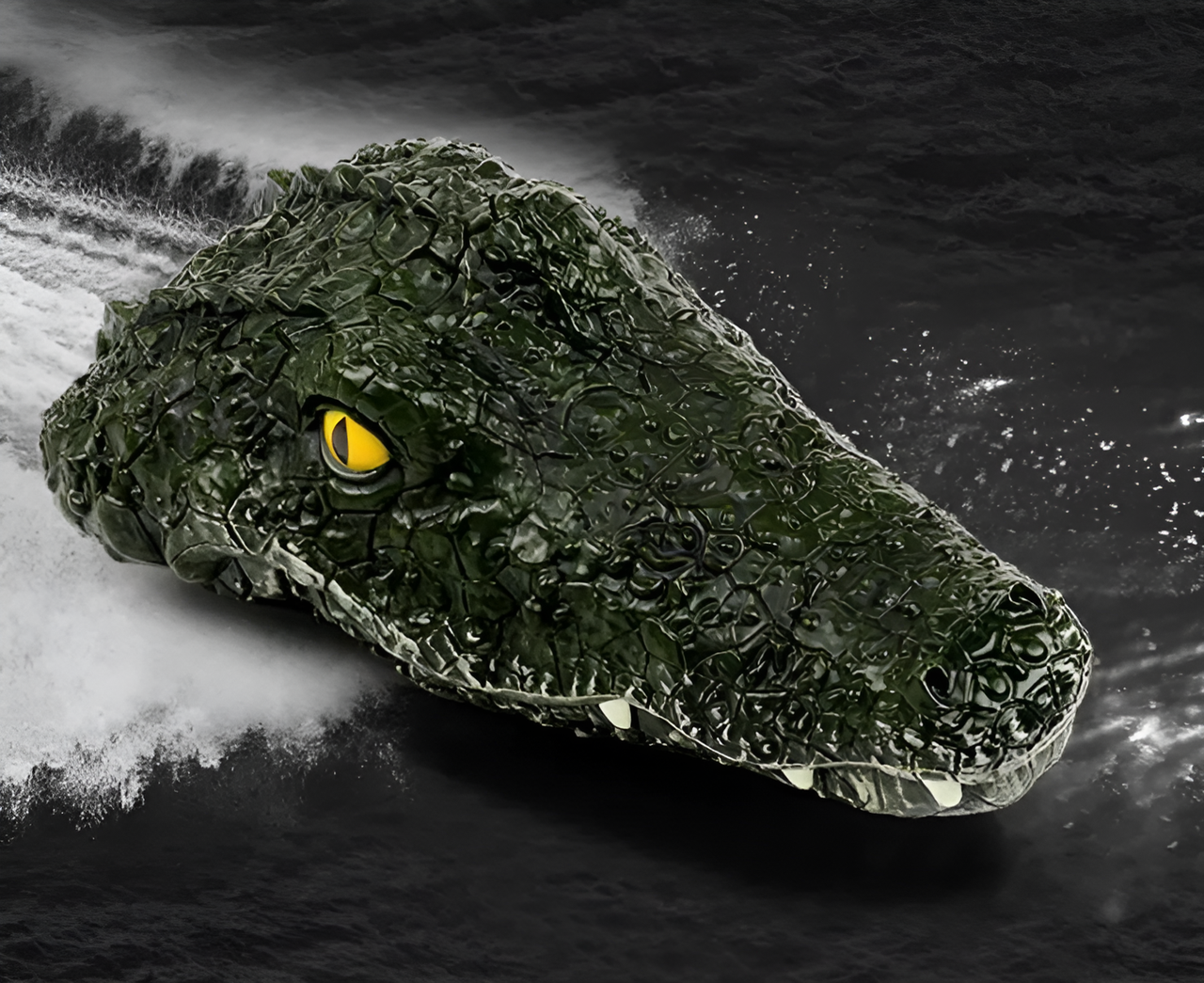 RC Crocodile Head  RC Crocodile Head
