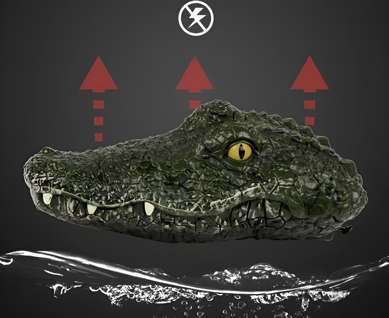 RC Crocodile Head  RC Crocodile Head