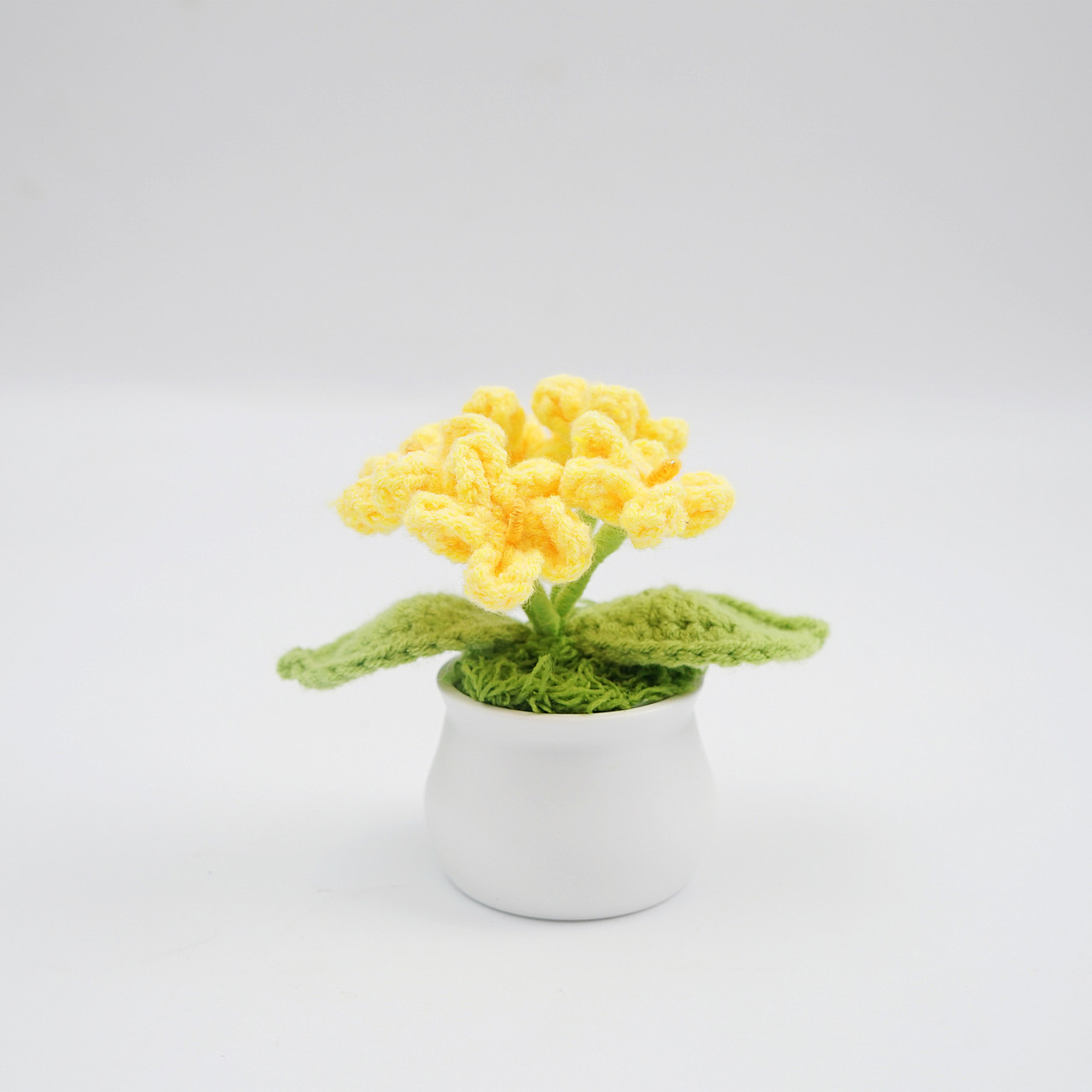 Crochet Daffodils