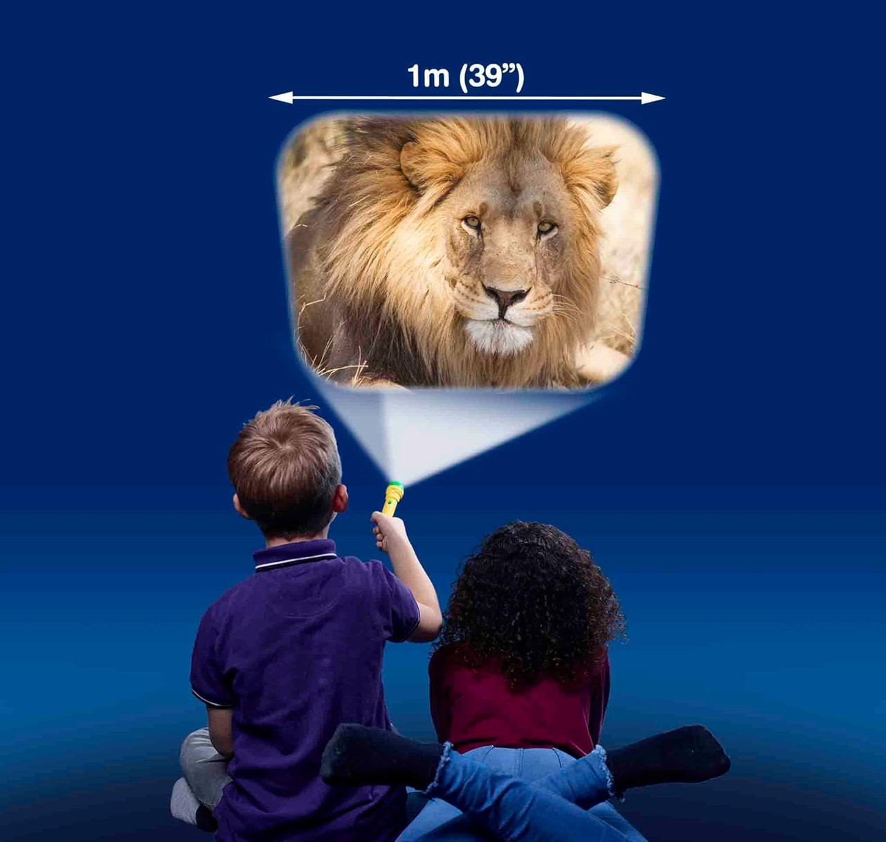 Brainstorm Toys Animal Torch & Projector