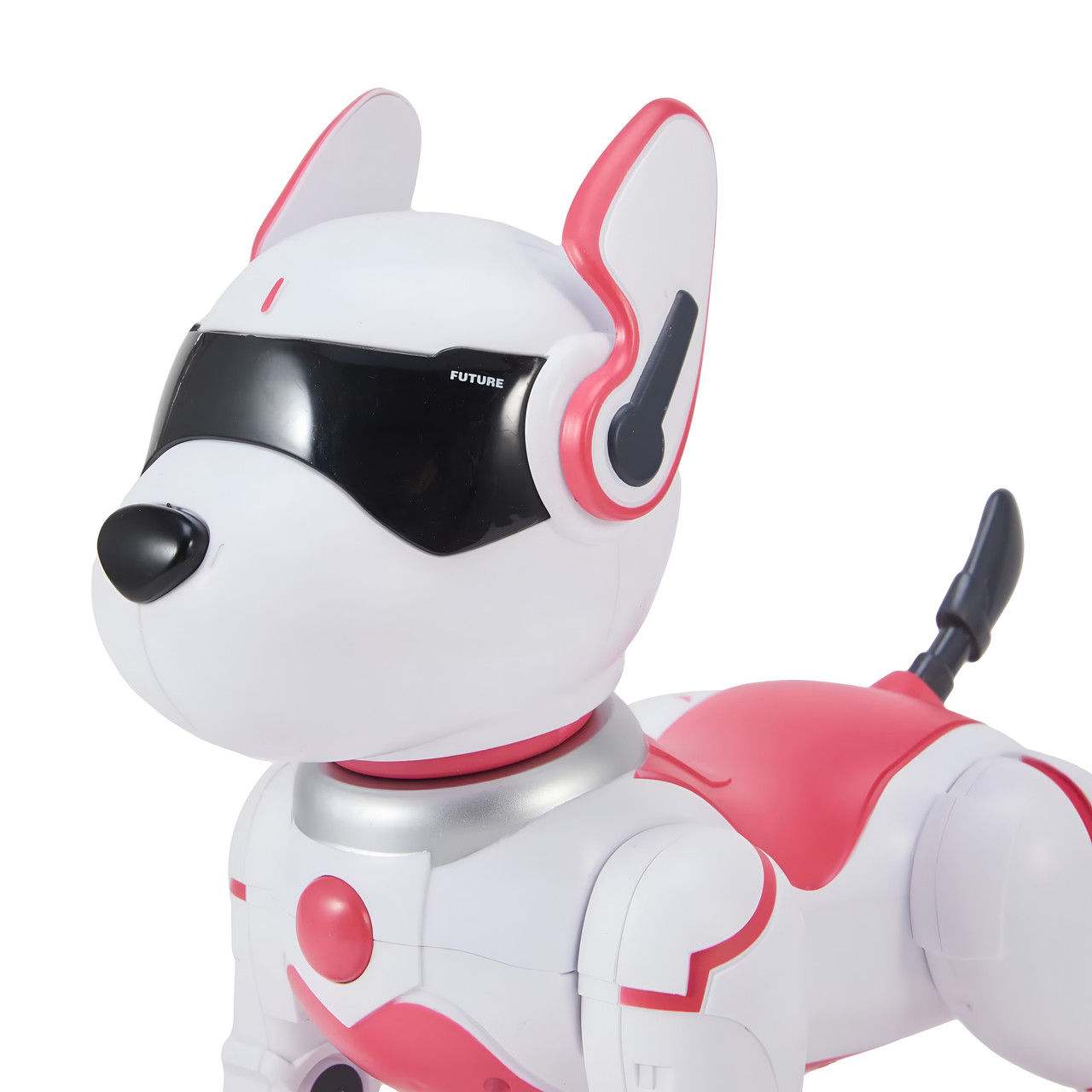 Zoey the Robot Dog