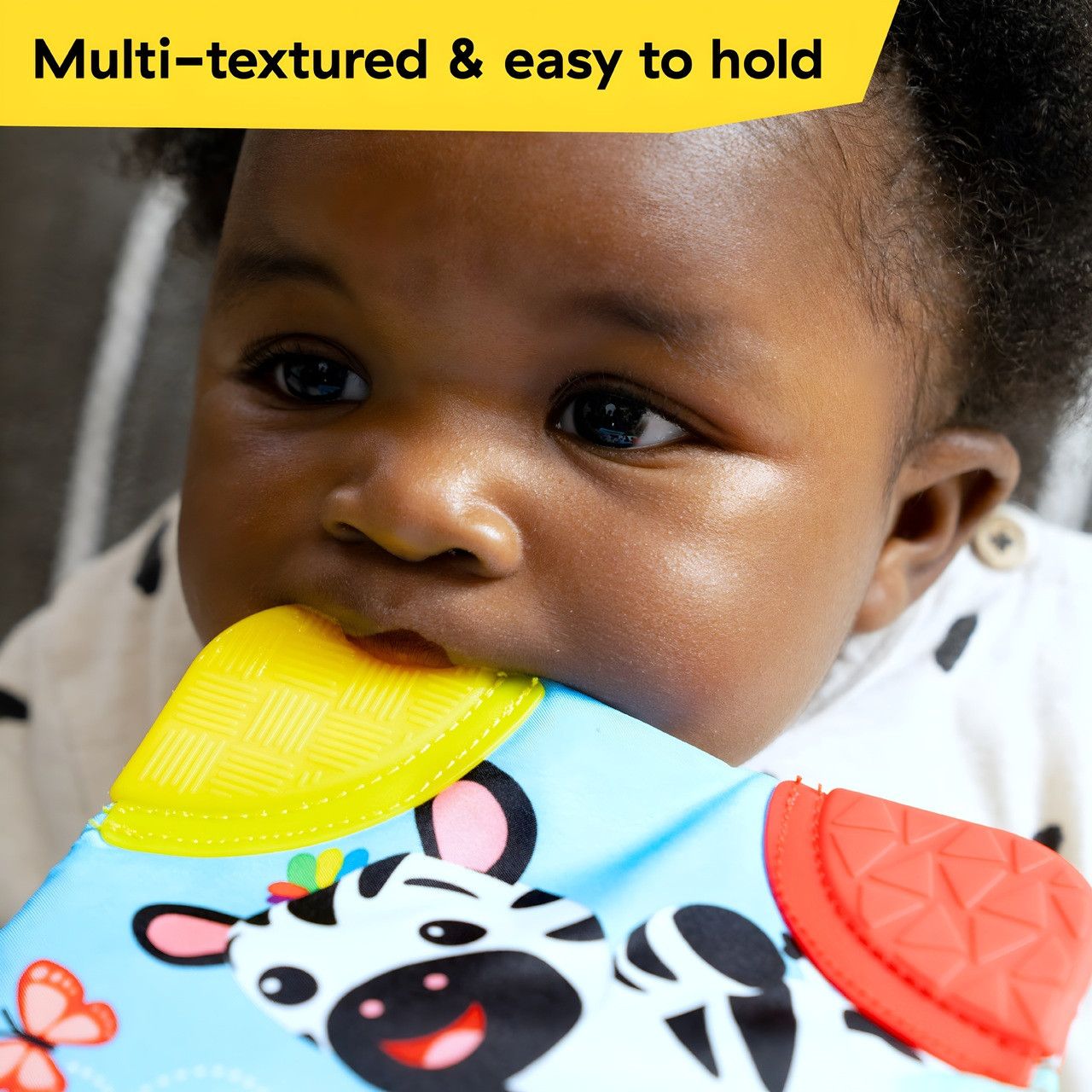 Baby Einstein Zen the Zebra 3-Piece Holiday Gift Set