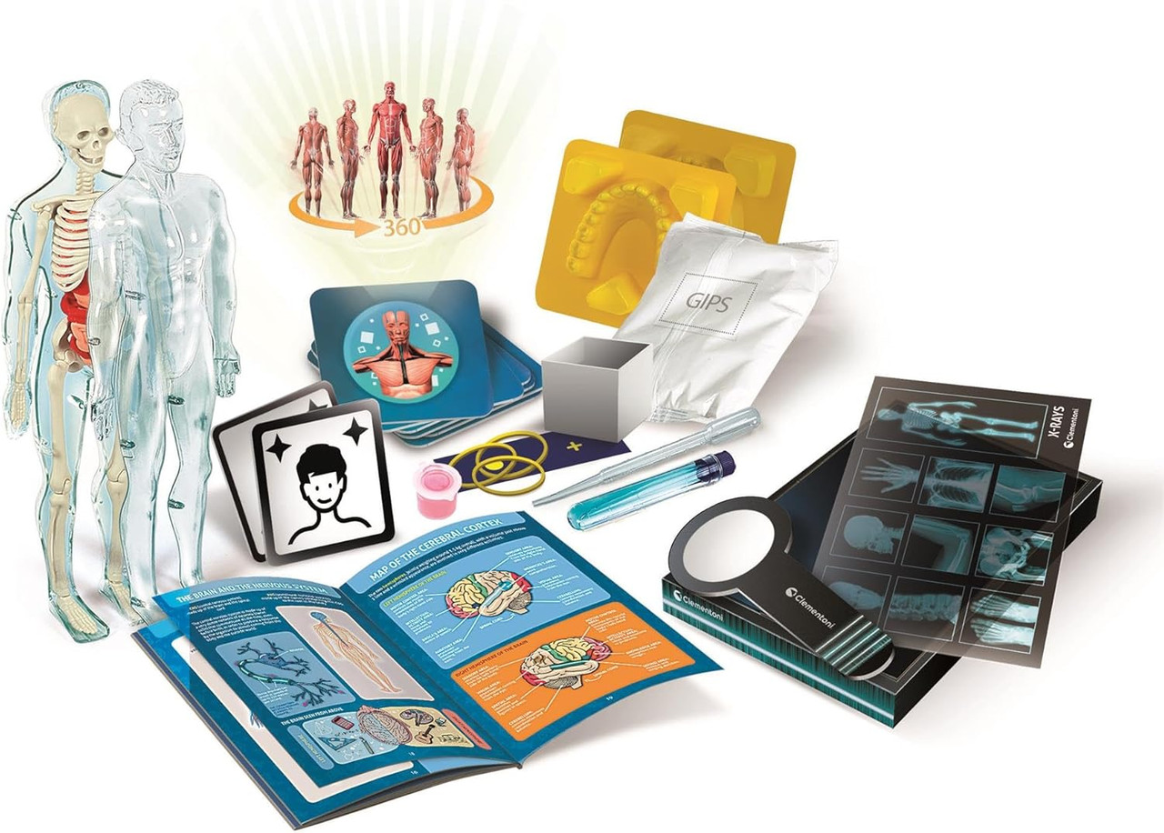 Clementoni Science & Play - Super Anatomy