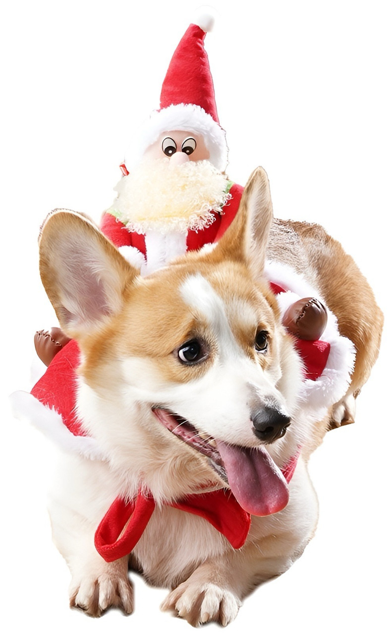 Santa's Furry Helper Festive Wear