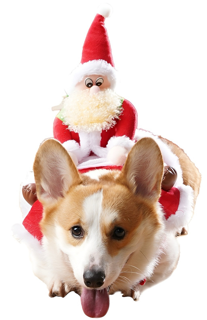 Santa's Furry Helper Festive Wear
