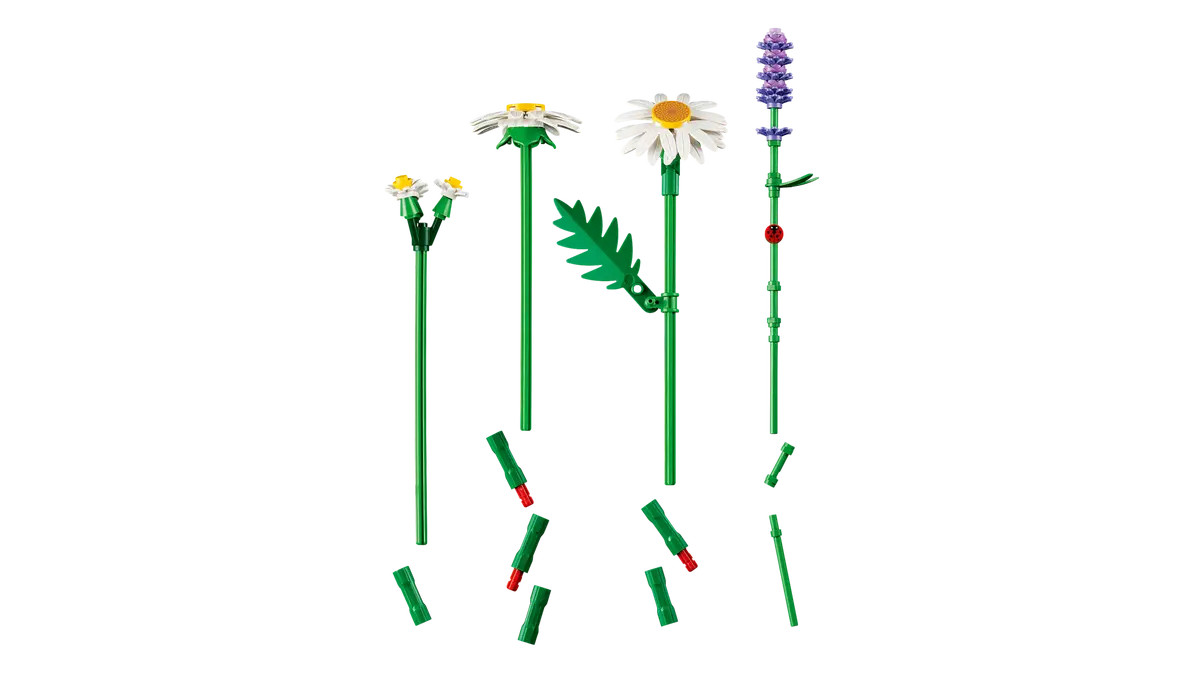 LEGO Botanicals Daisies 11508