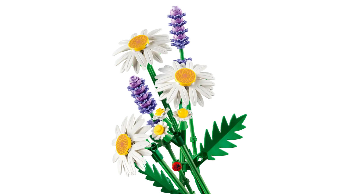 LEGO Botanicals Daisies 11508