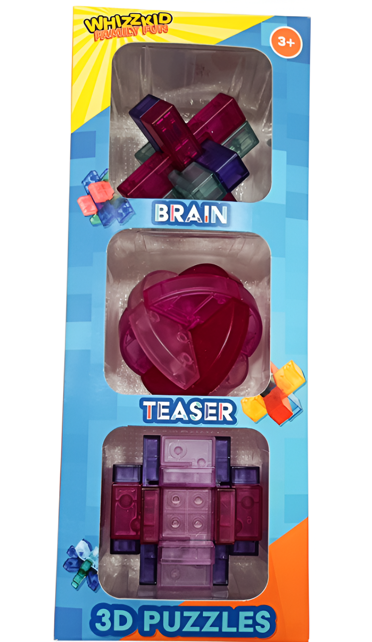 Brain Teaser 3D Puzzles 
