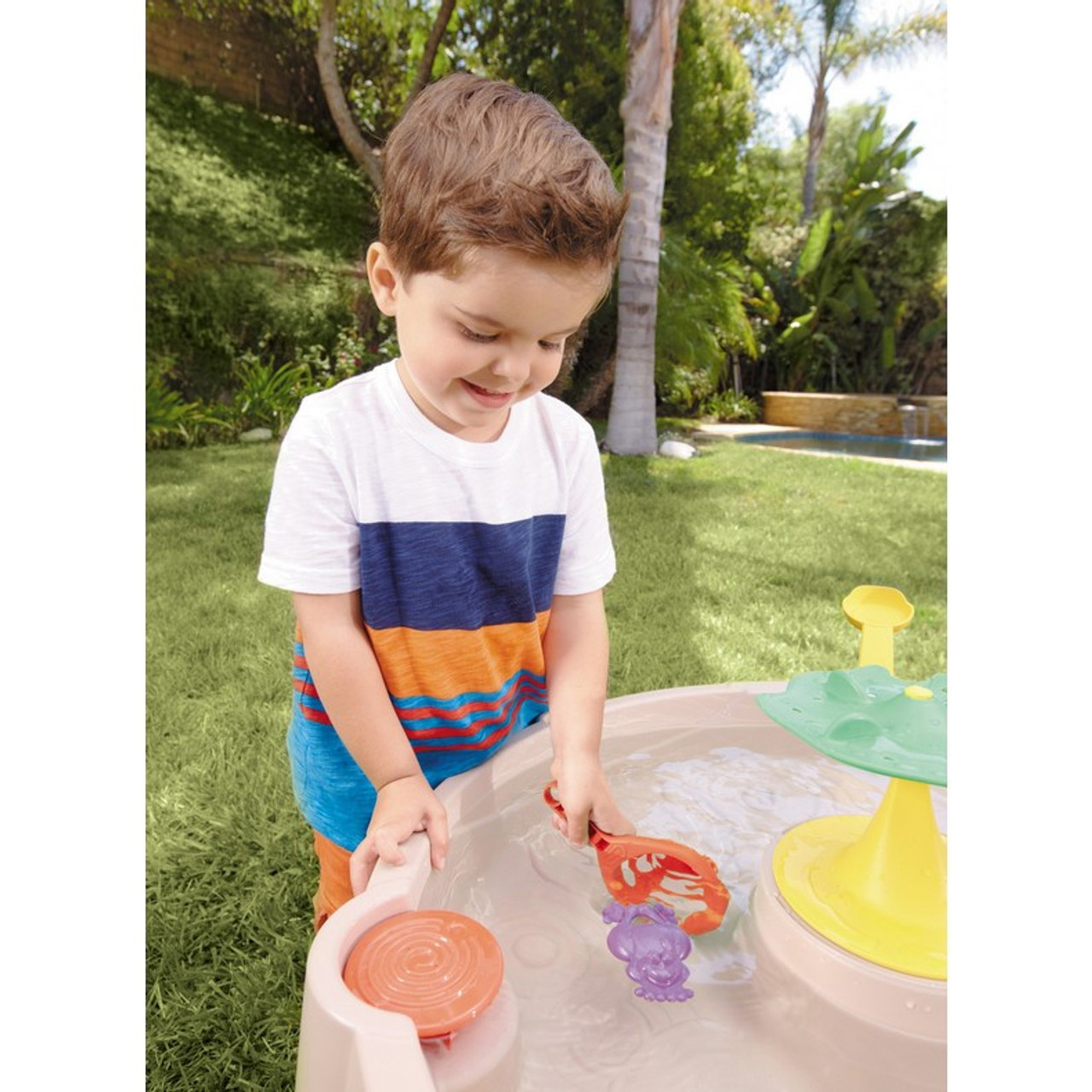 frog pond water table