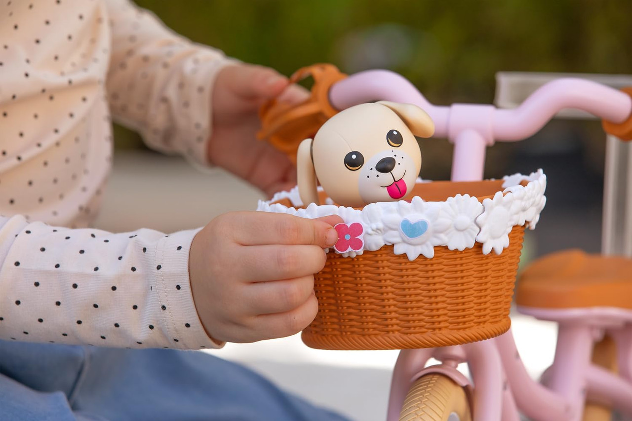 Baby born Bicycle with Lucky