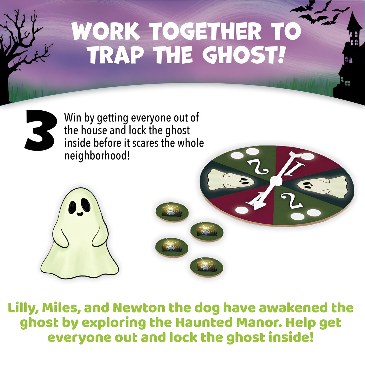 Ghost in the Attic