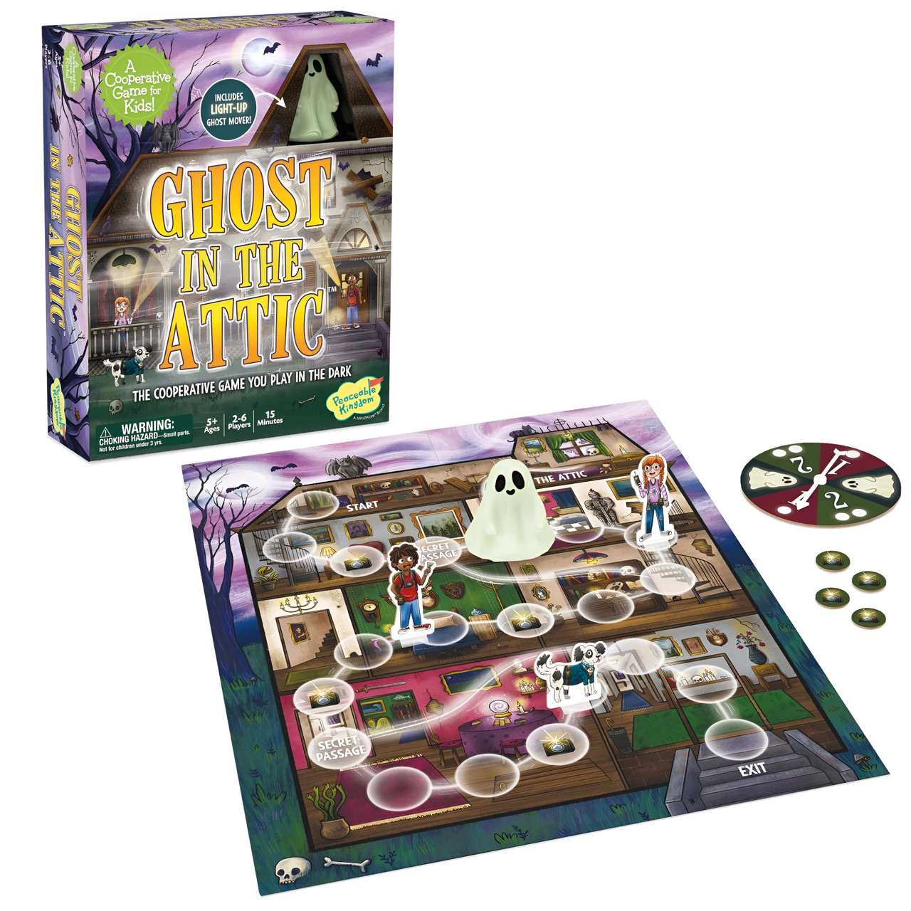 Ghost in the Attic