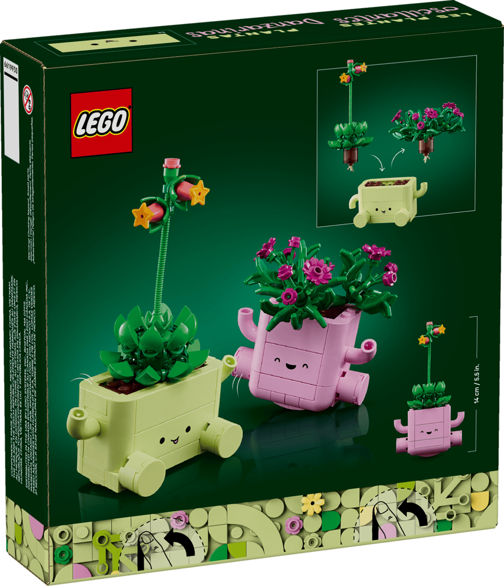 LEGO Botanicals Rocking Plants 11506