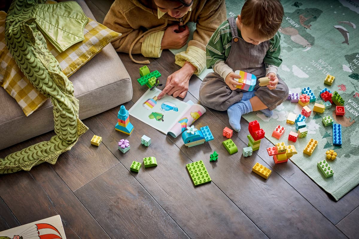 LEGO DUPLO Colourful Creative Box 10479