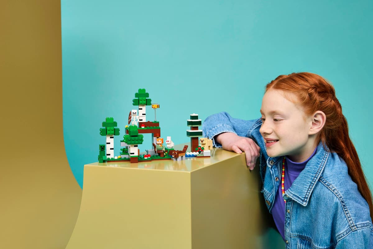 LEGO Minecraft First Night Adventure 21593
